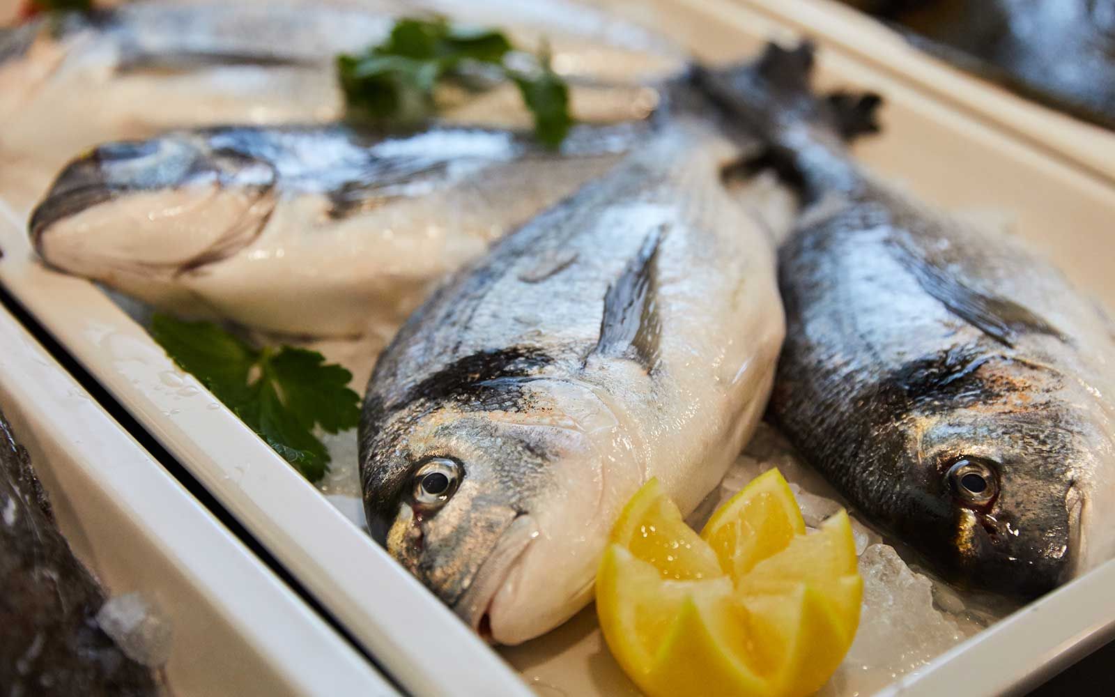 Il Grappolo Fisch
