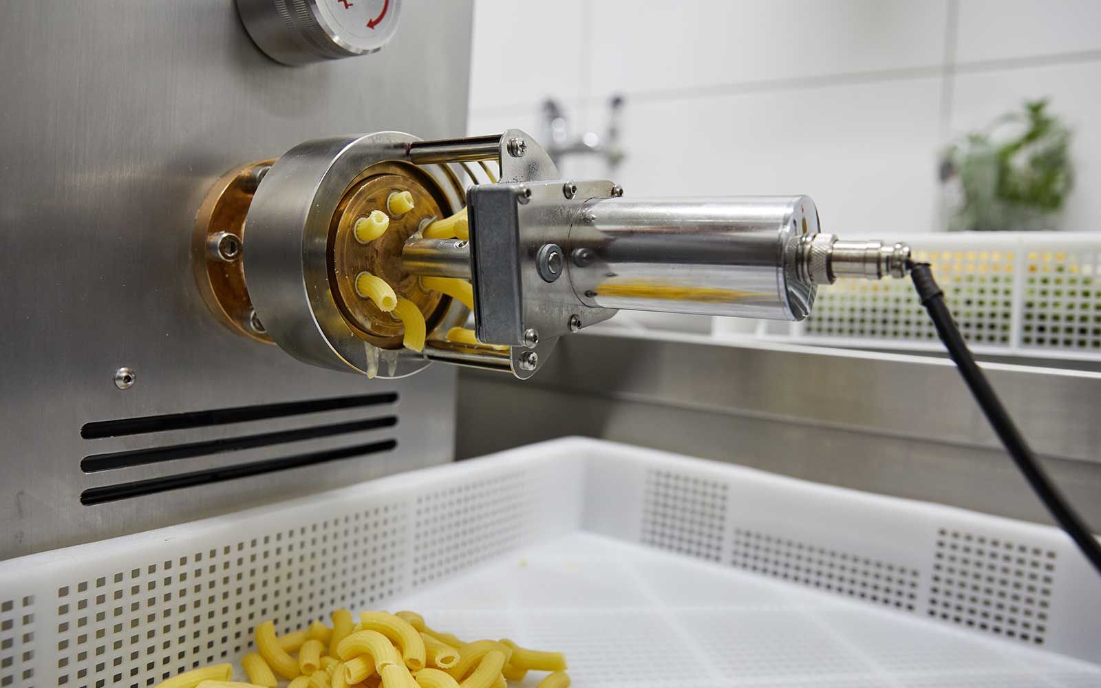 Il Grappolo Pasta Herstellung